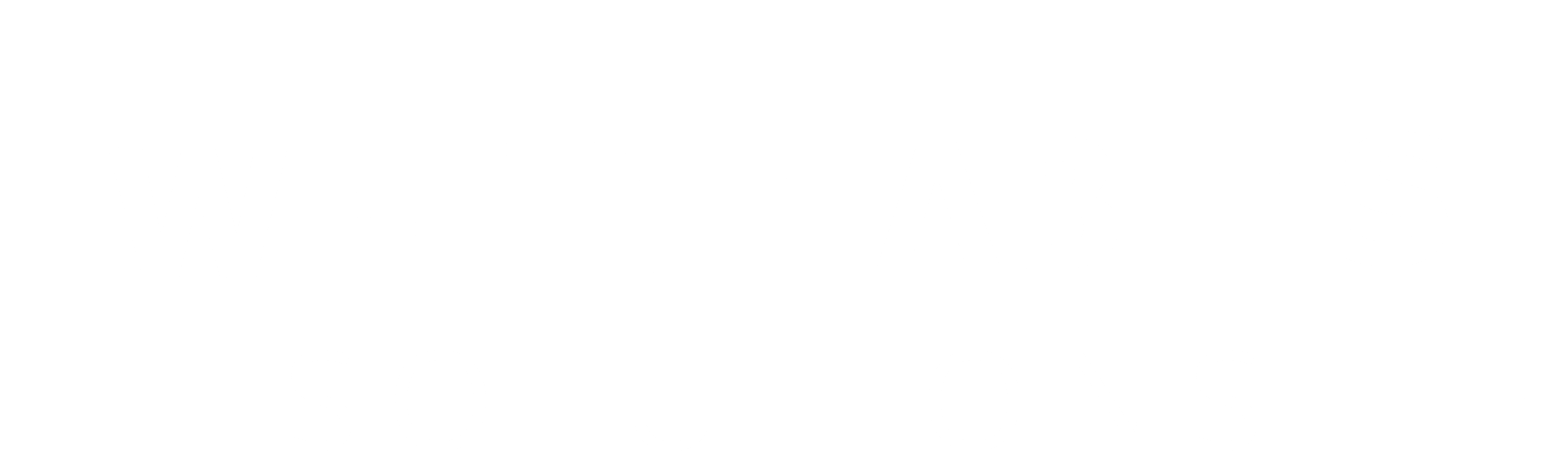 White labels Solutions Logo
